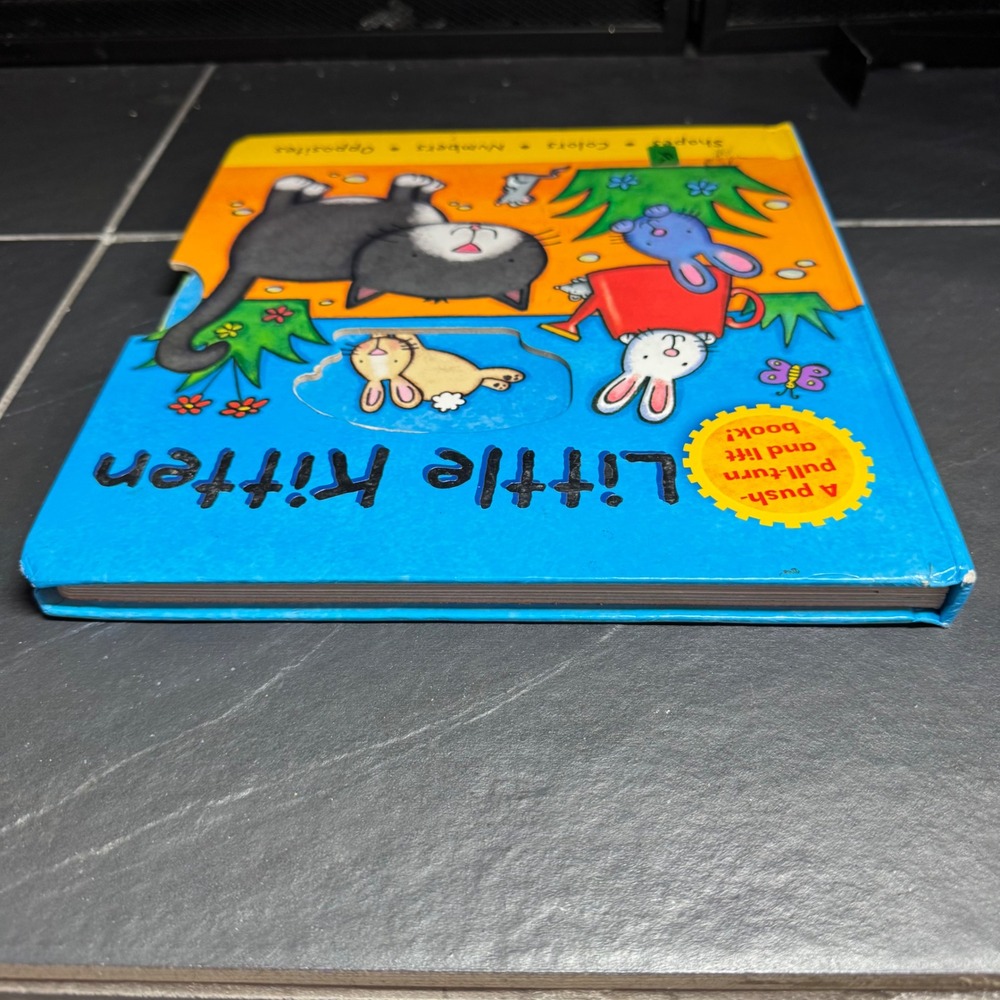 Rare Little Kitten Igloo Books Board Book Push Pull Turn Lift Kait Eaton Animal - Picture 6 of 7